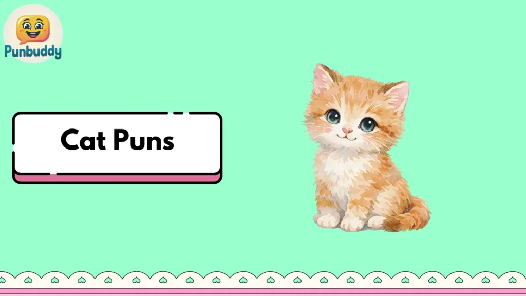Cat Puns