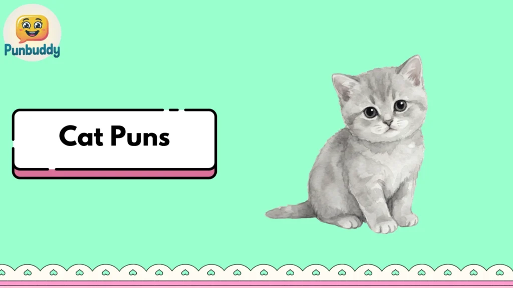 Cat Puns