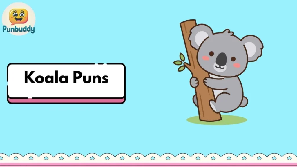 Koala puns