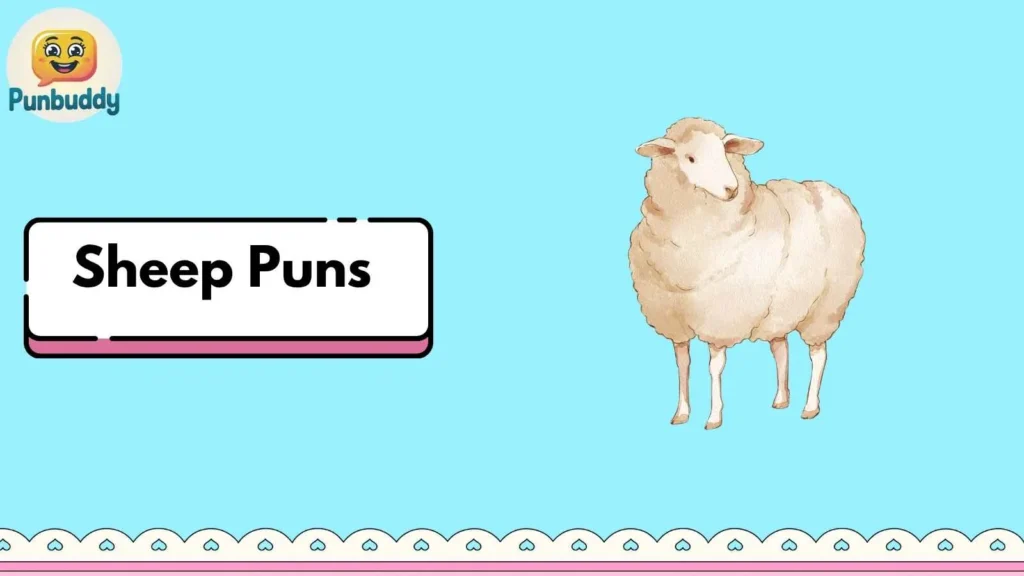 Sheep Puns 