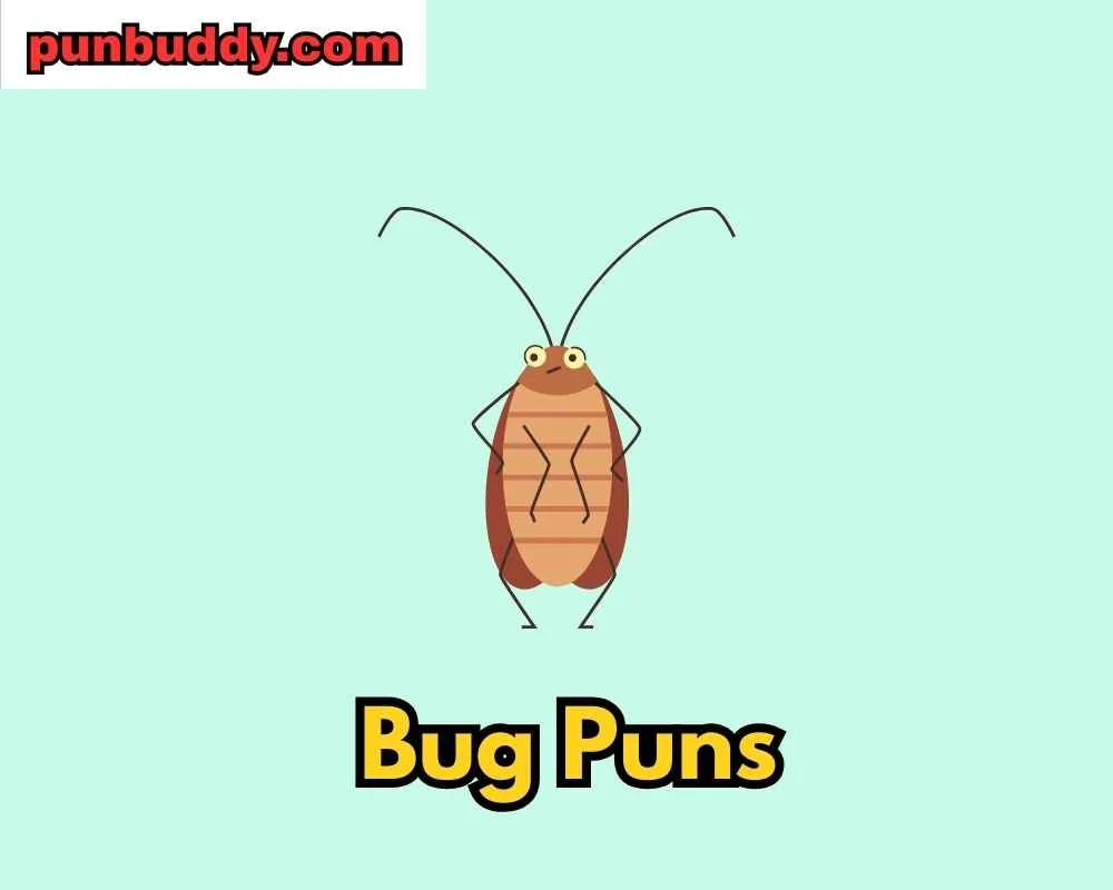 Bug Puns