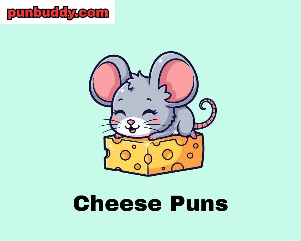 Cheese Puns