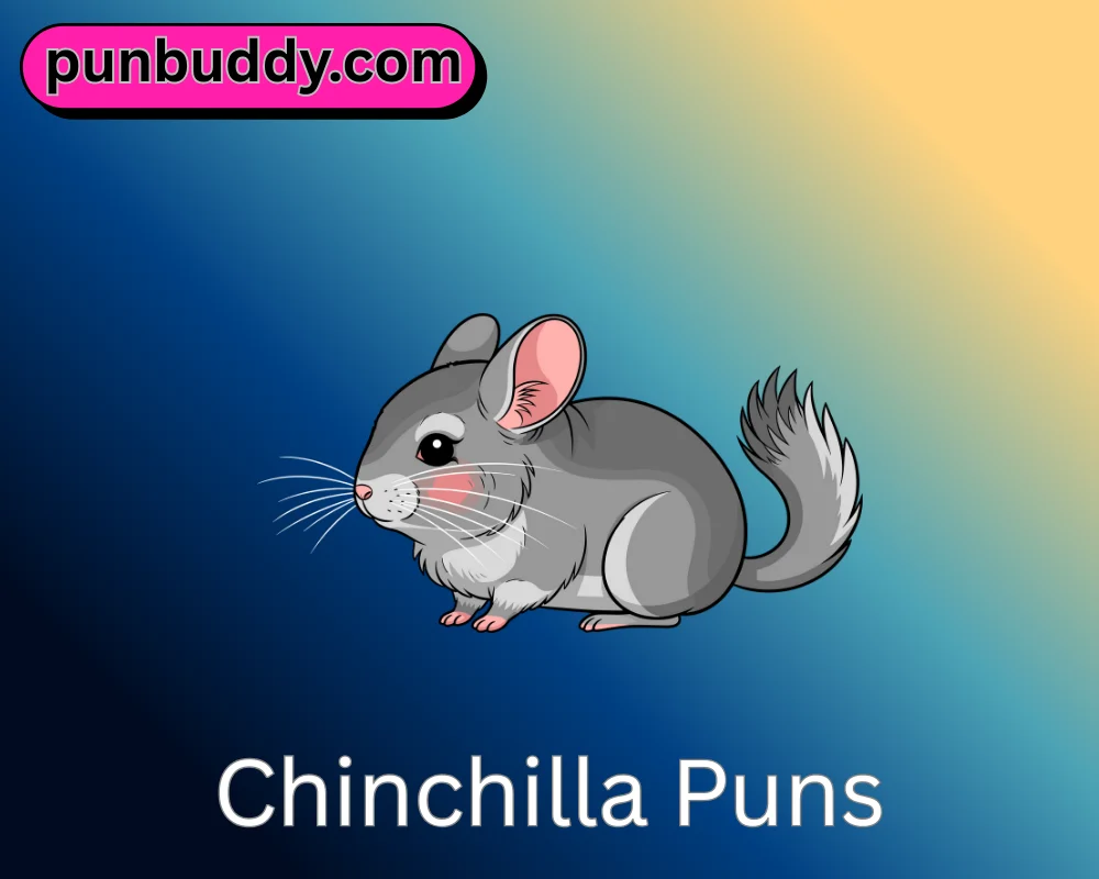 Chinchilla Puns