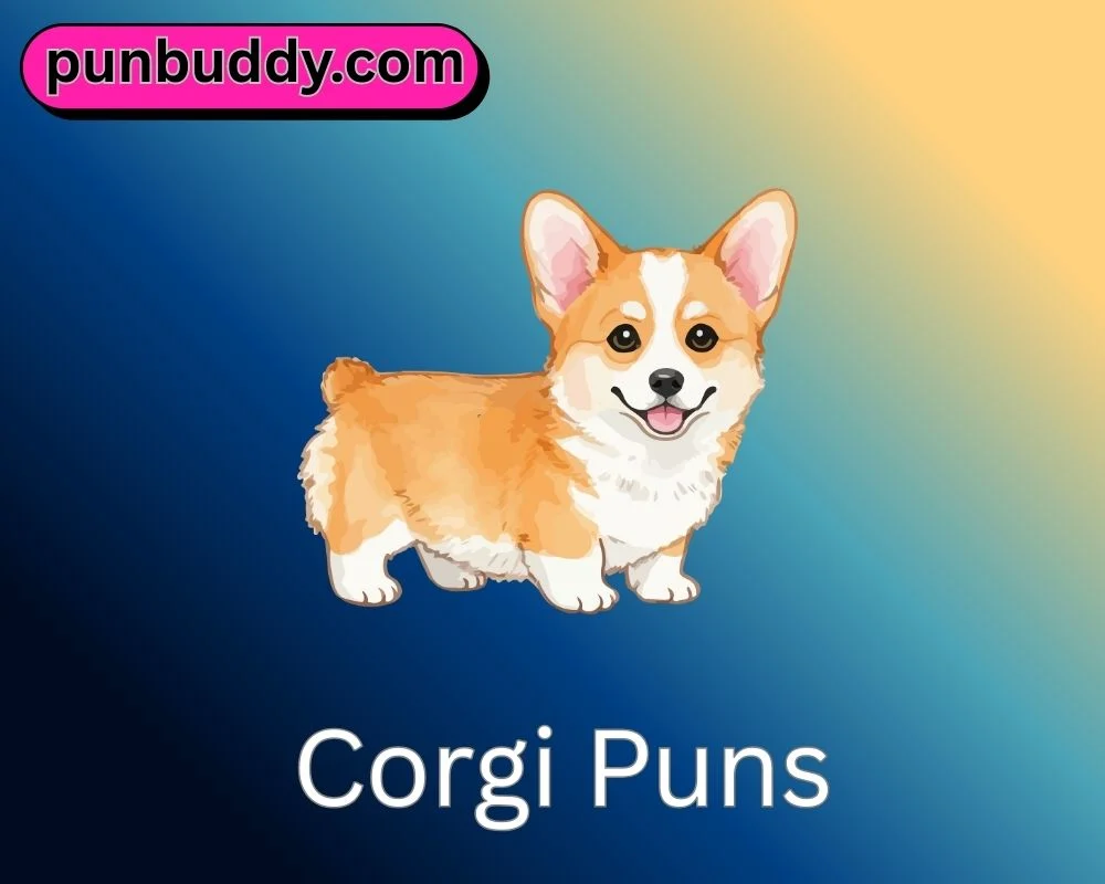 Corgi Puns