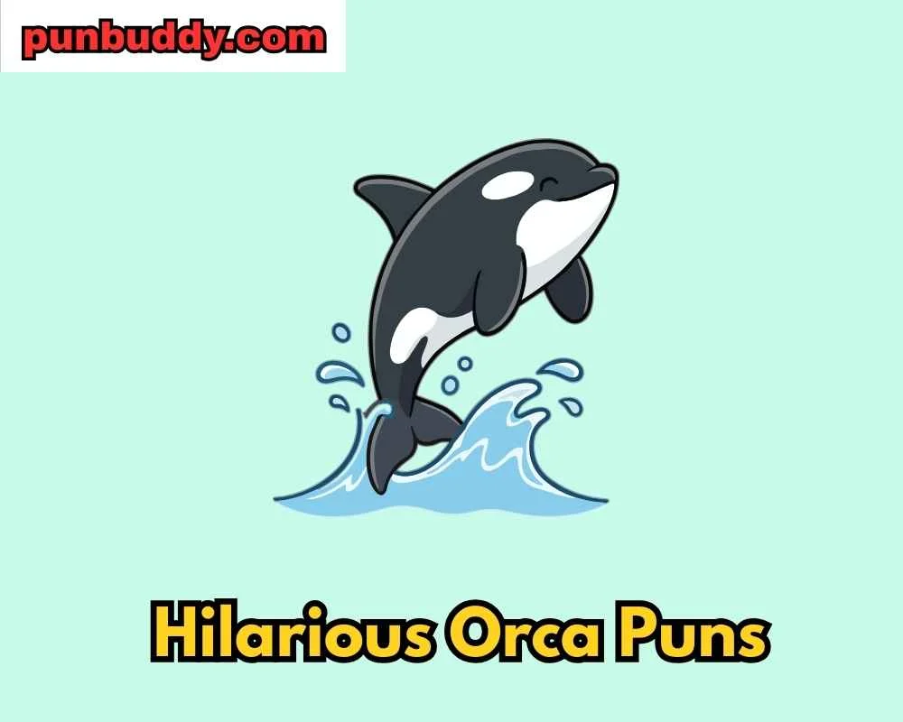 Hilarious Orca Puns
