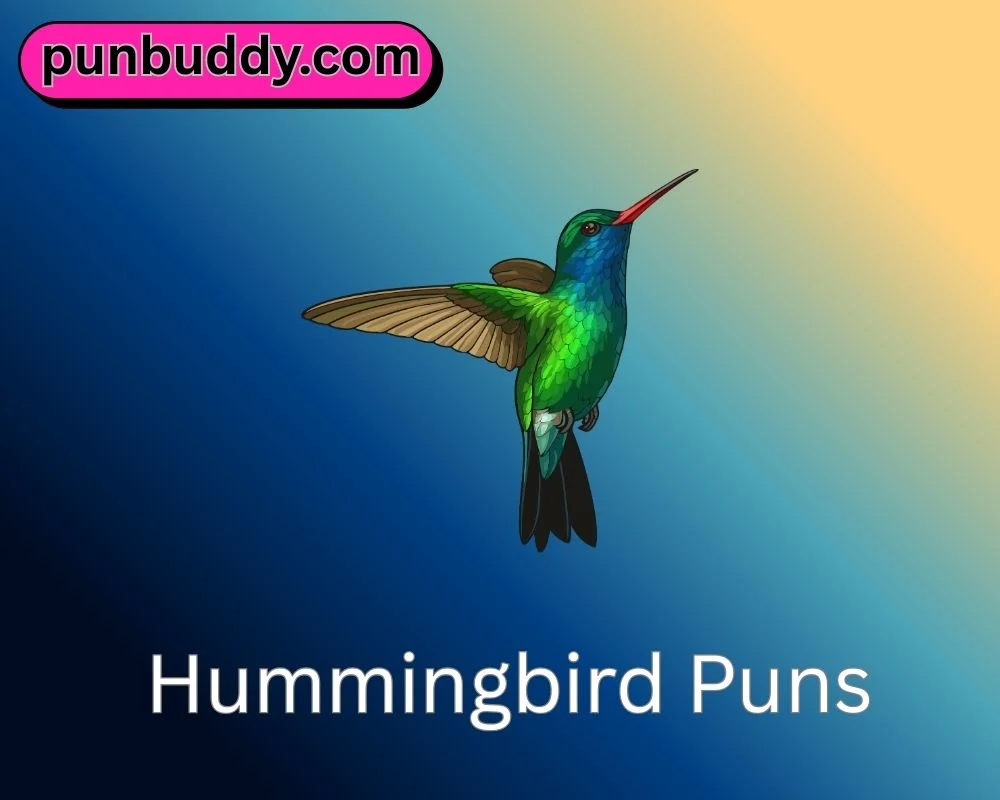 Hummingbird Puns