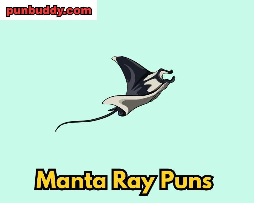 Manta Ray Puns