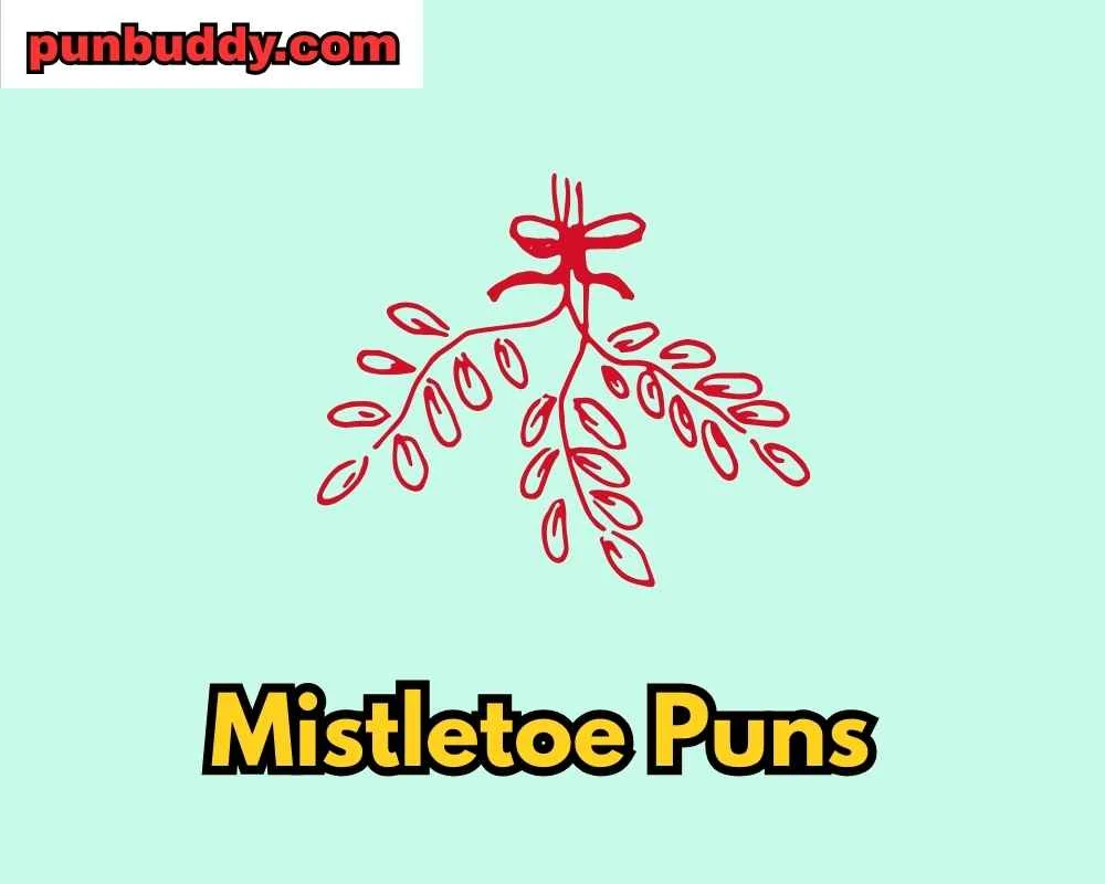 Mistletoe Puns