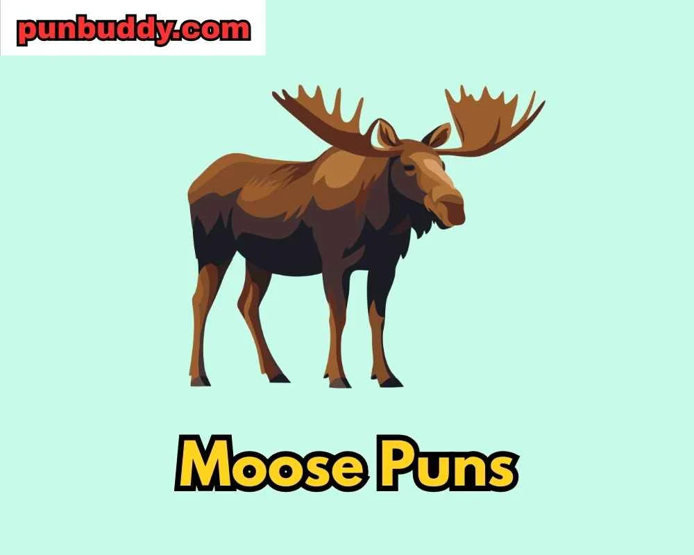 Moose Puns