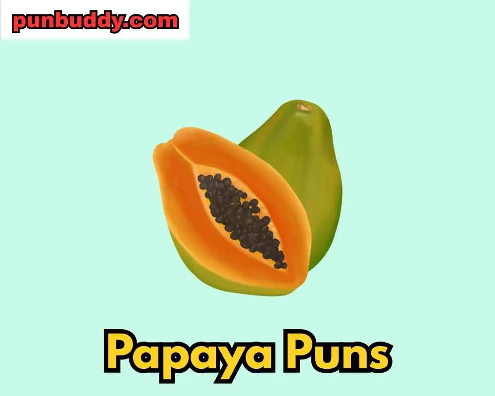 Papaya Puns