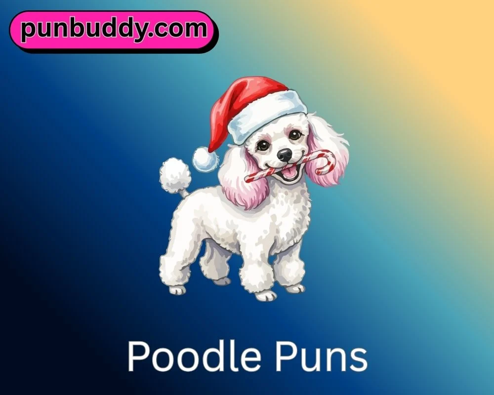 Poodle Puns