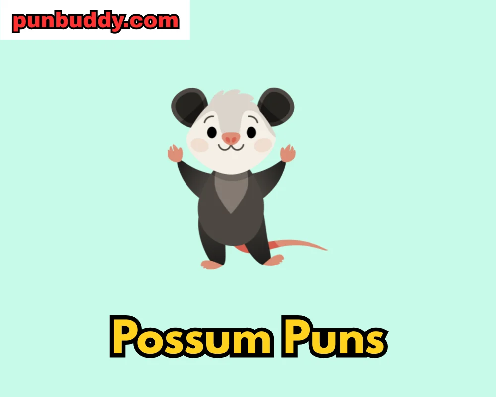 Possum Puns
