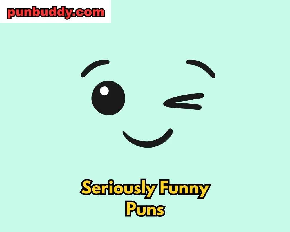 Seriously Funny Puns