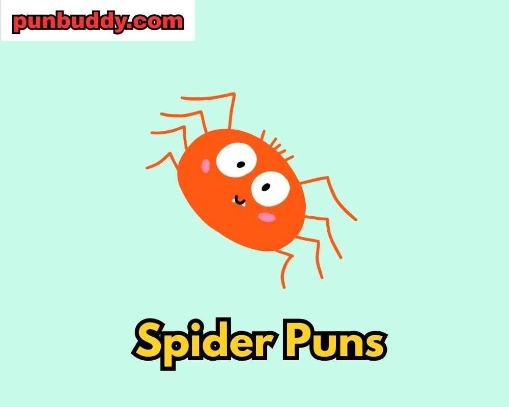 Spider Puns