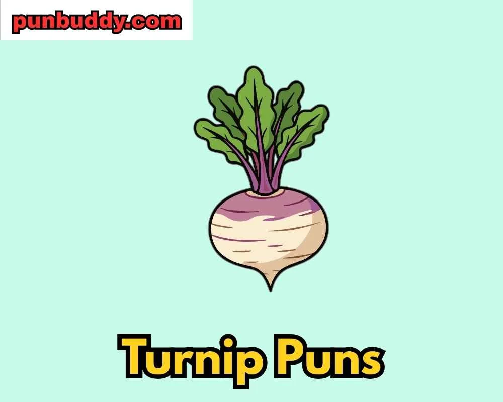 Turnip Puns