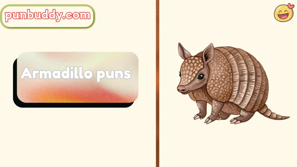Armadillo puns