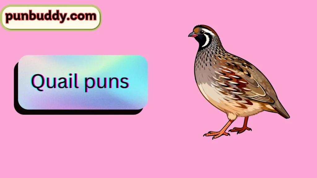 Quail puns