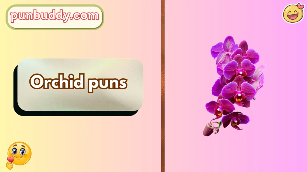 Orchid puns