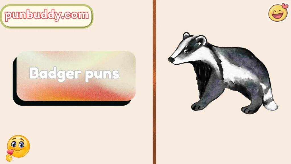 Badger puns