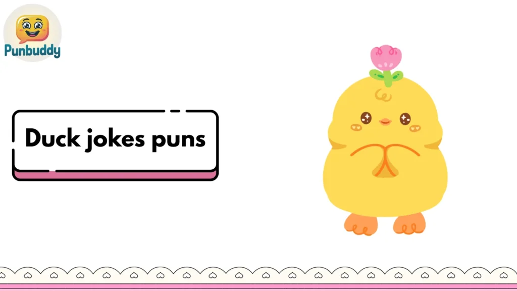 Duck Jokes Puns