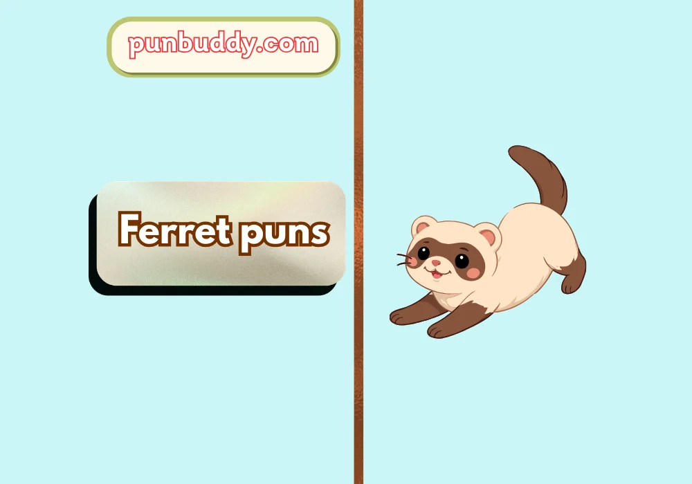 Ferret puns