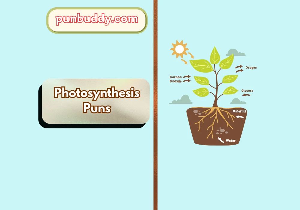 Photosynthesis Puns