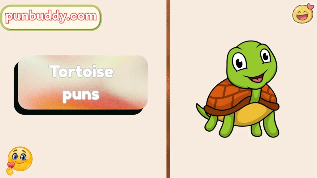 Tortoise puns