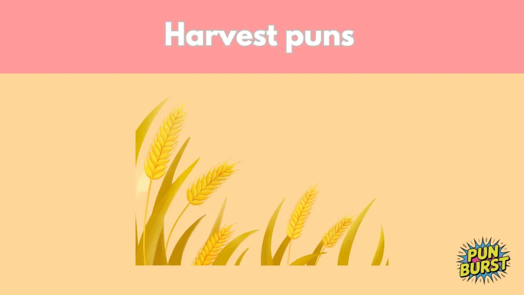 Harvest puns