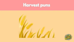 Harvest puns