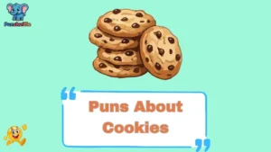 Puns About Cookies