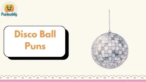 Disco Ball Puns